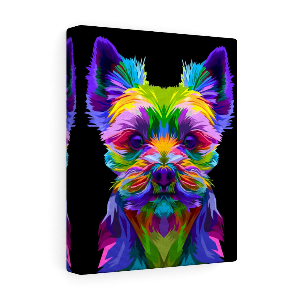 Yorkie Vivid Color