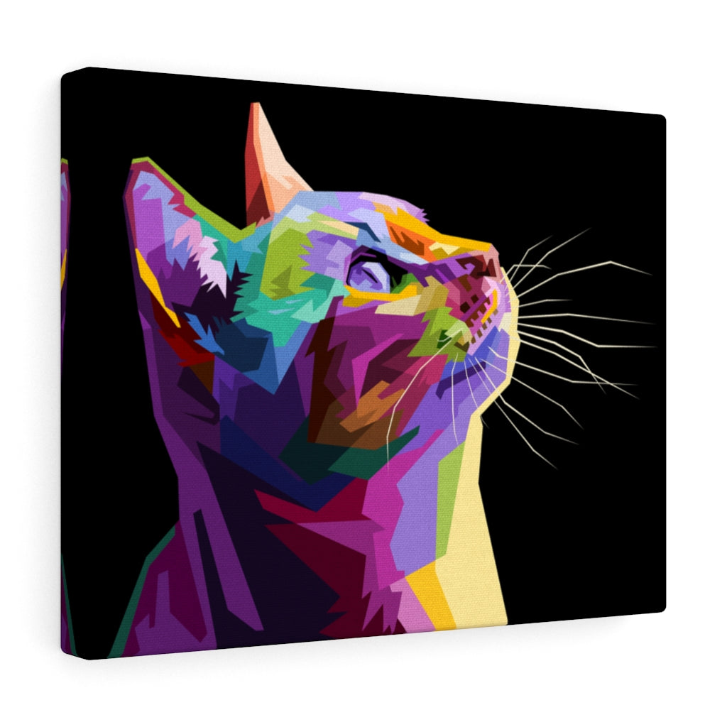 Kitty Cat Vivid
