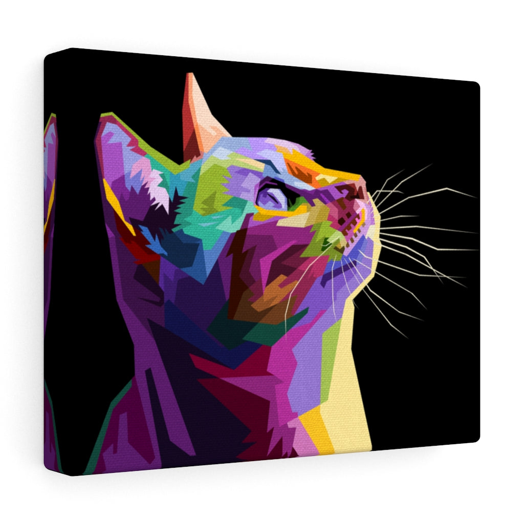Kitty Cat Vivid