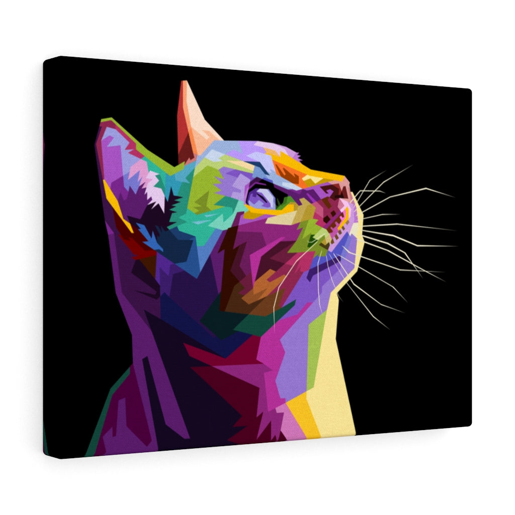 Kitty Cat Vivid