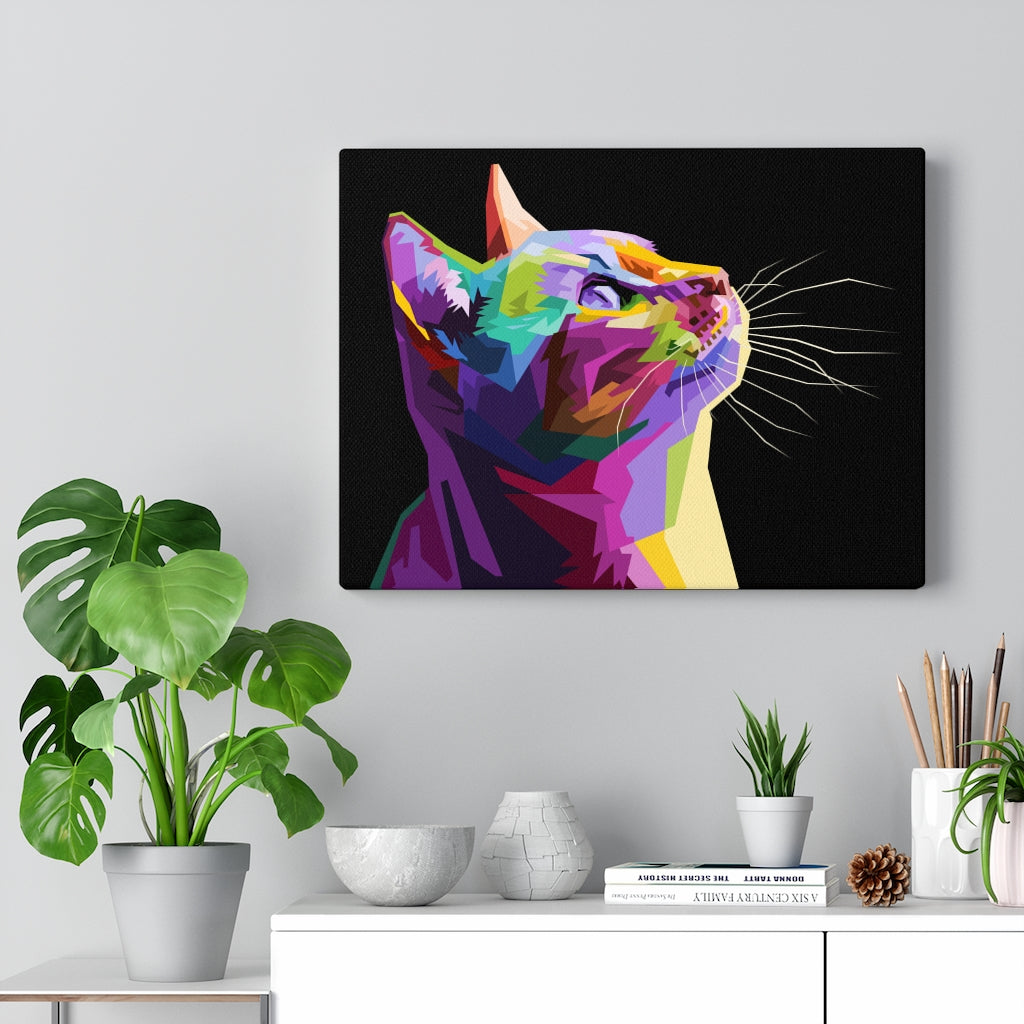 Kitty Cat Vivid