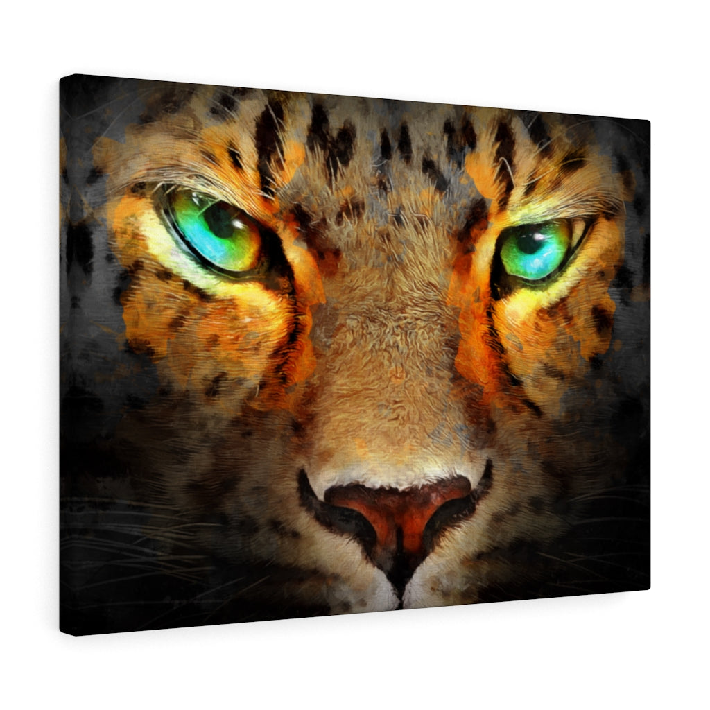 Tiger Eyes Vivid