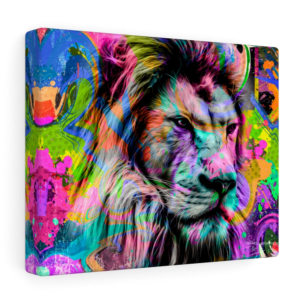 Lion Dream Vivid