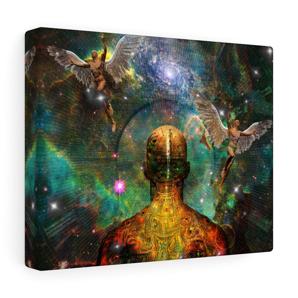 Facing the Universe