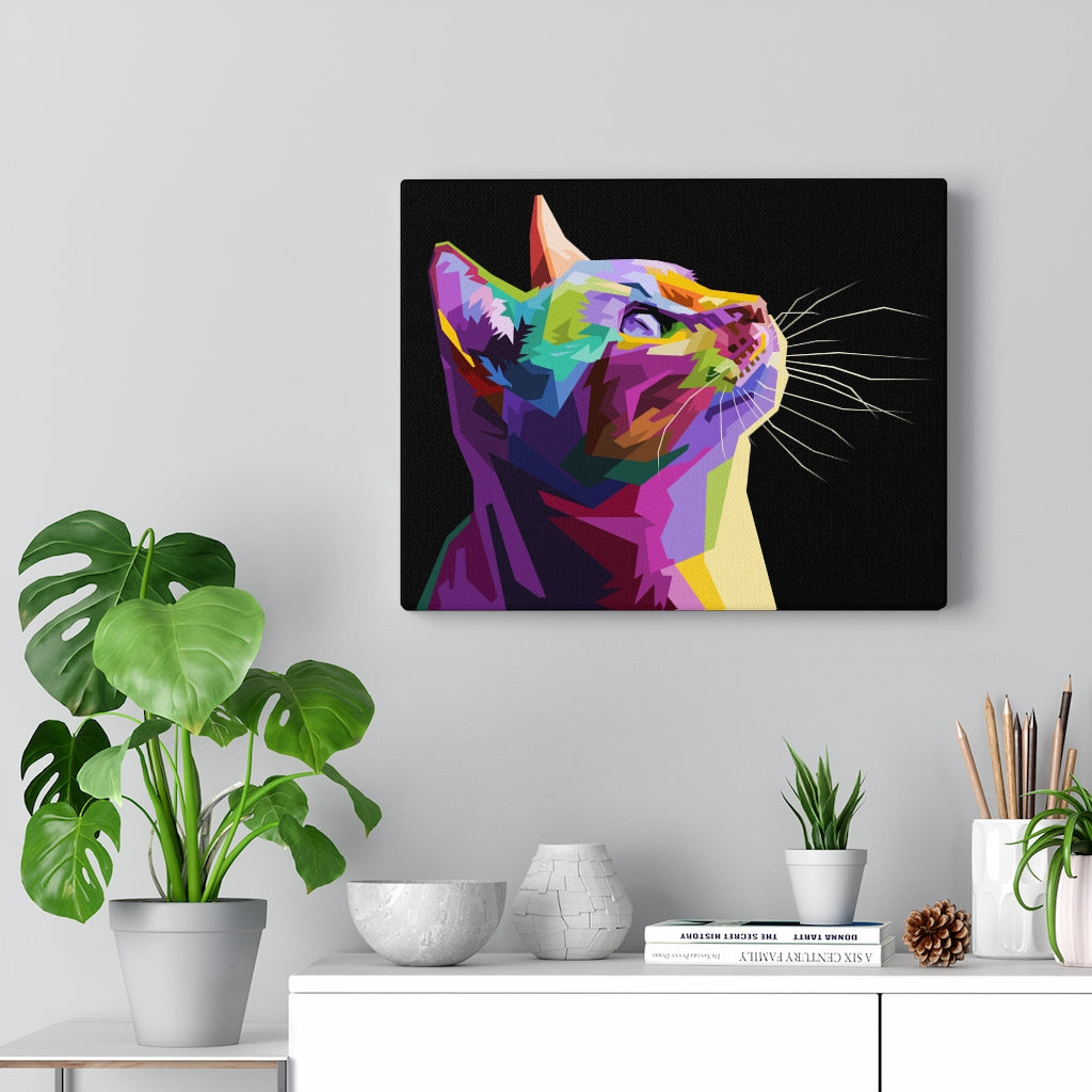 Kitty Cat Vivid
