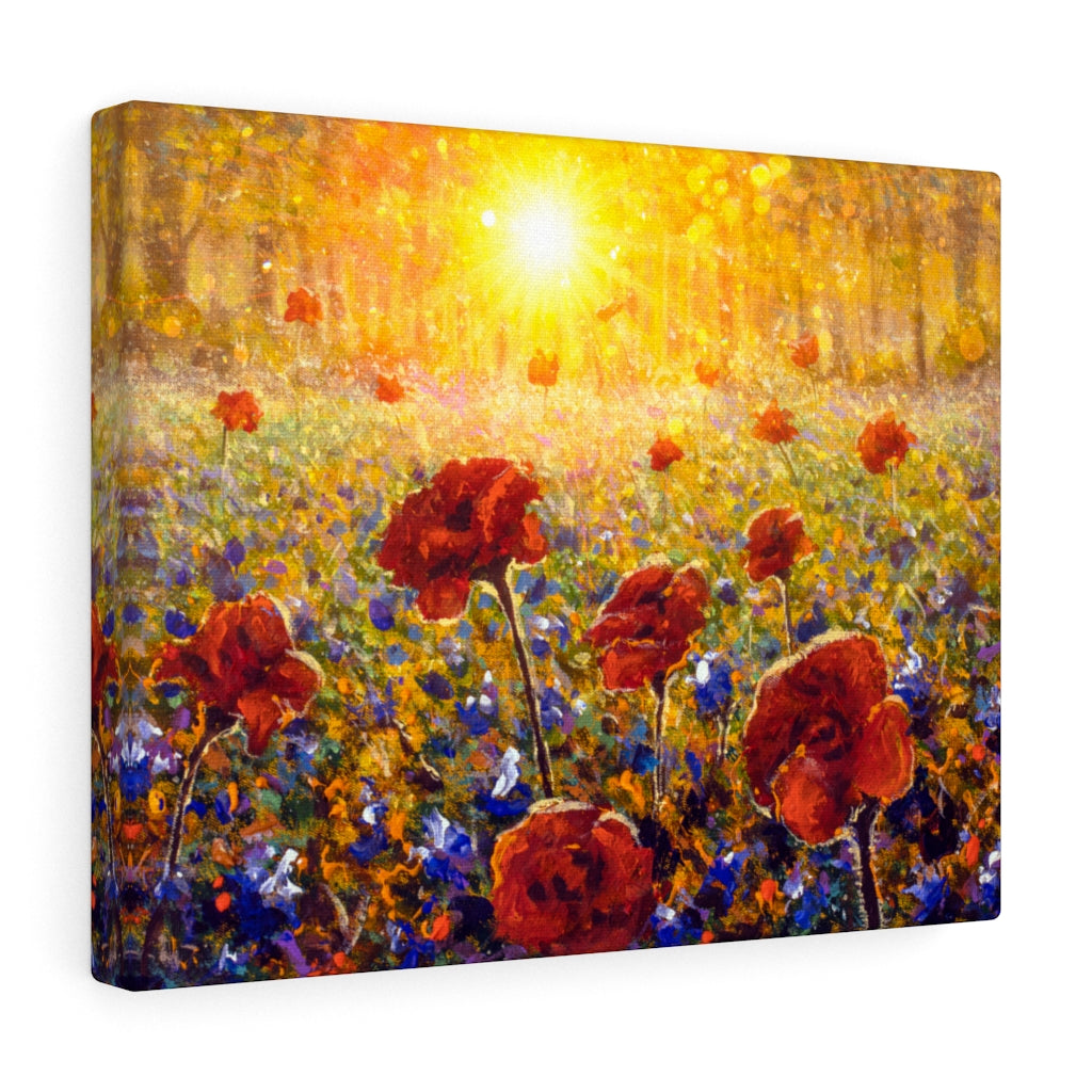Sun Shines on Flower Field