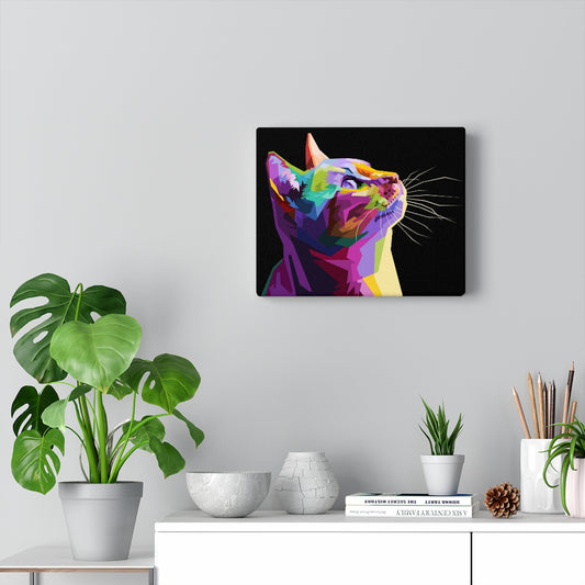 Kitty Cat Vivid