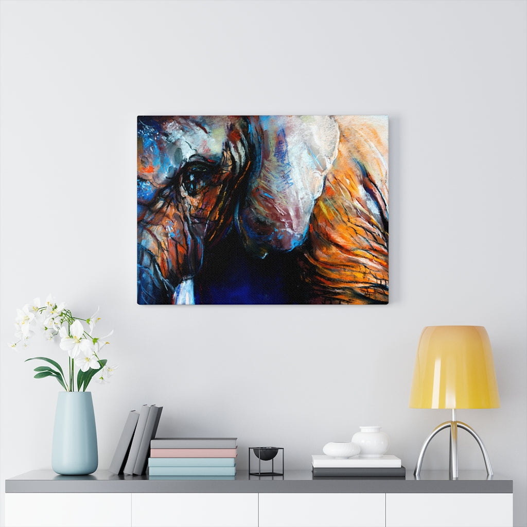 Elephant Eye Vivid