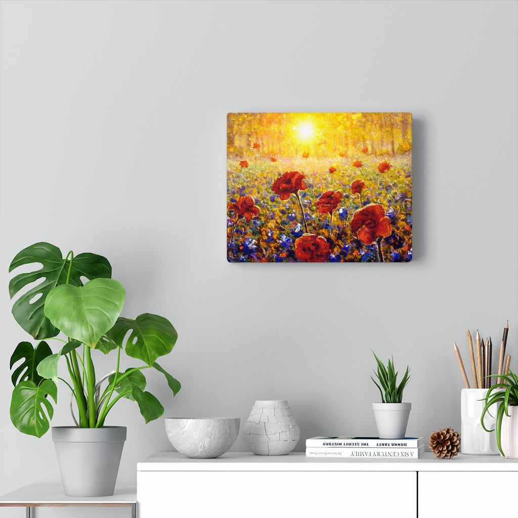 Sun Shines on Flower Field