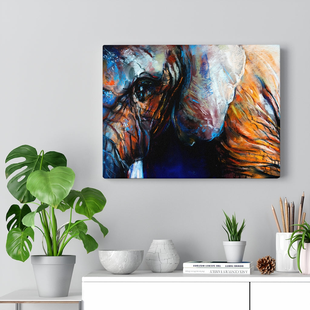 Elephant Eye Vivid