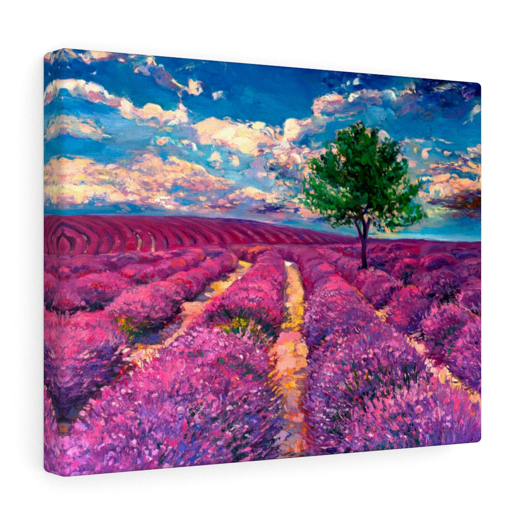 Lavender Field