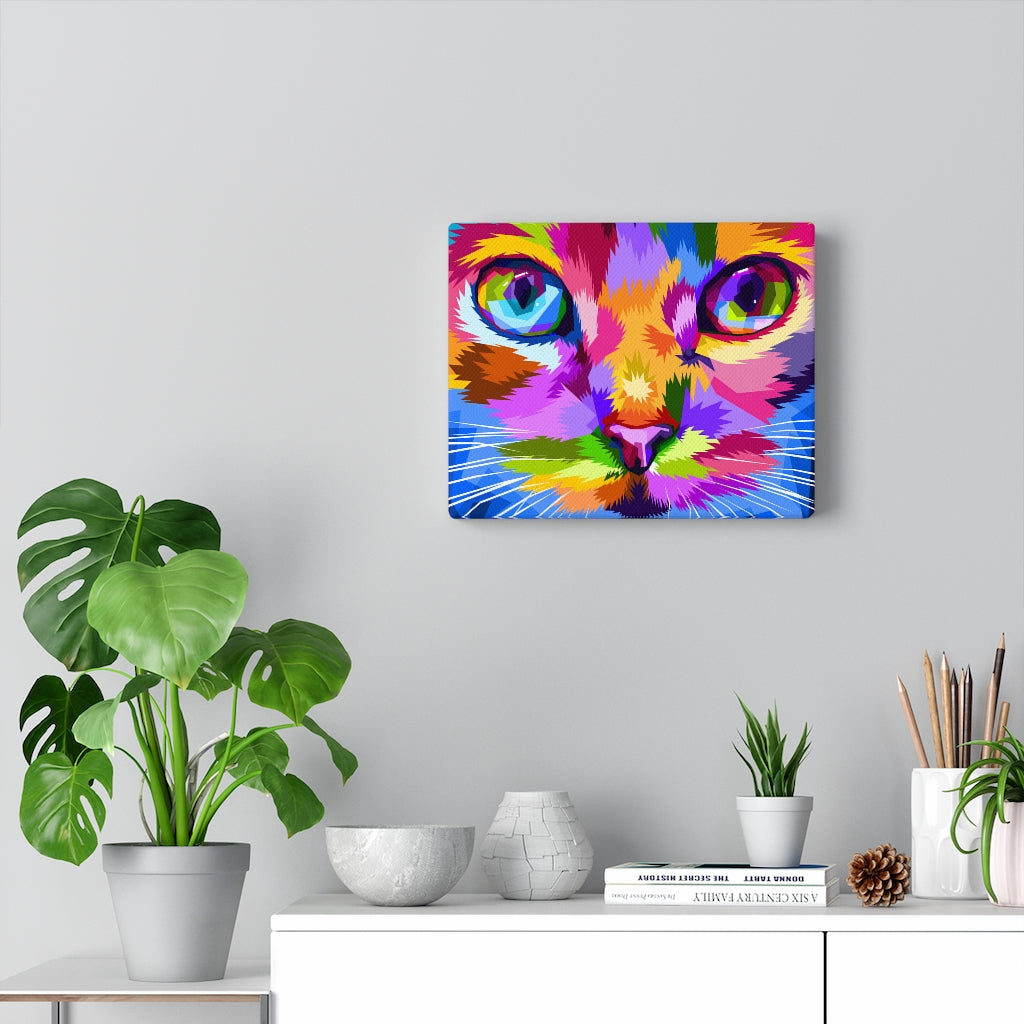 Cat Eyes Vivid