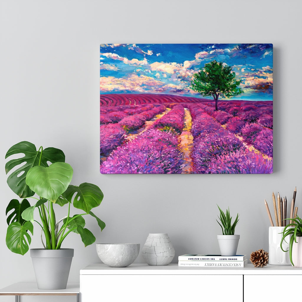 Lavender Field