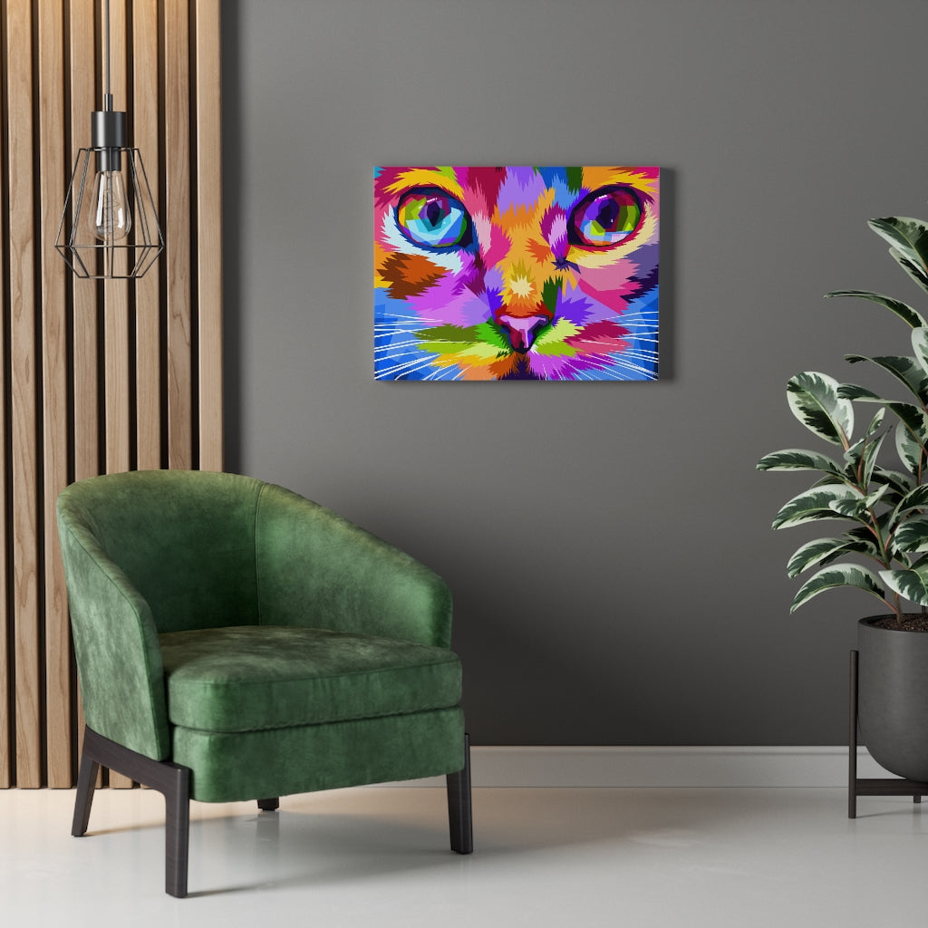Cat Eyes Vivid
