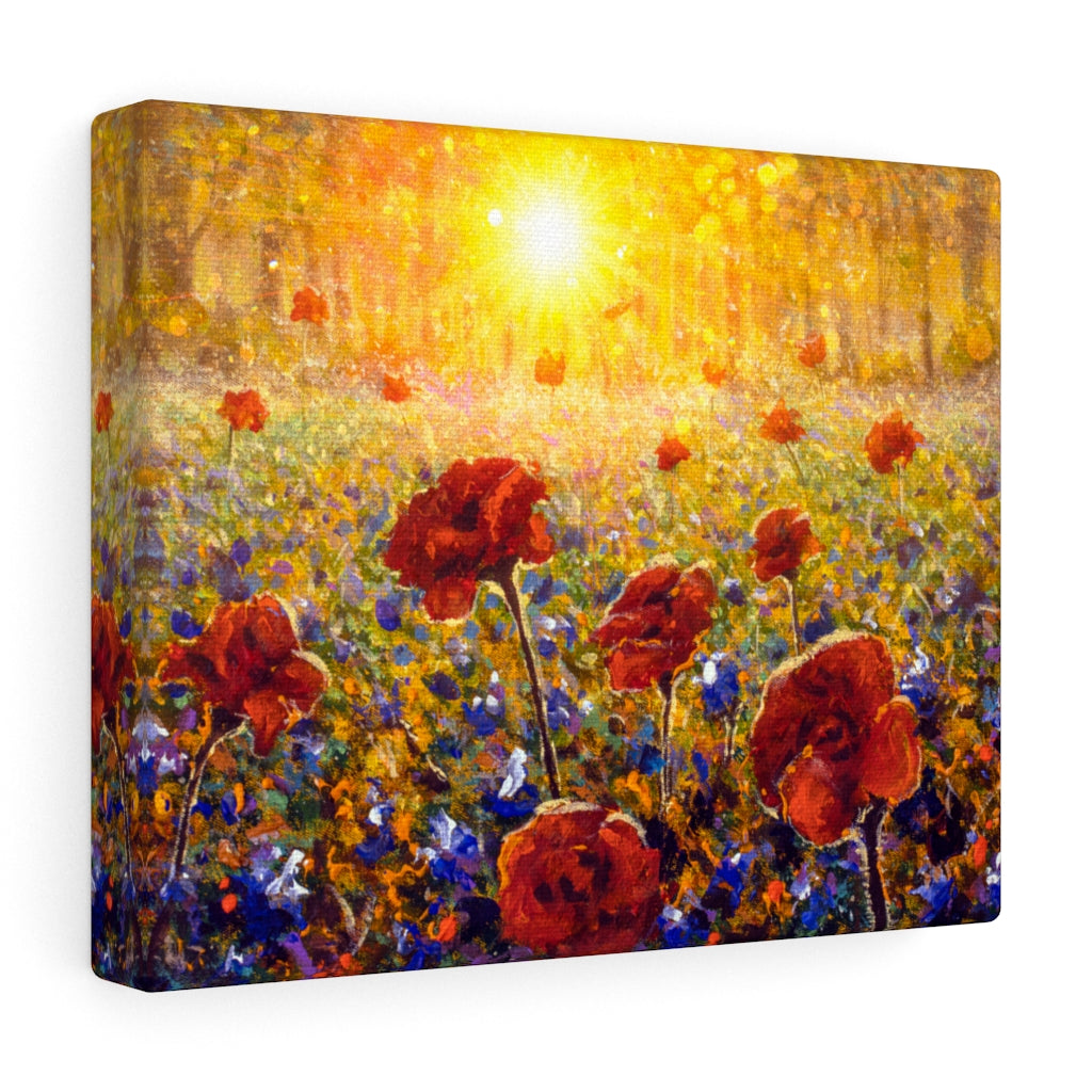 Sun Shines on Flower Field