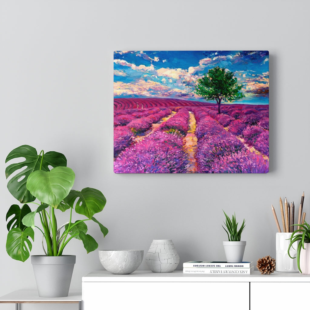 Lavender Field
