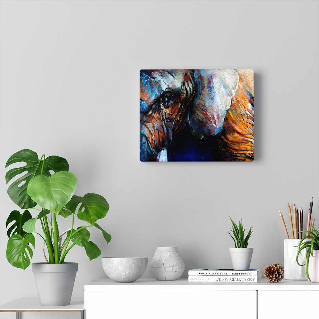 Elephant Eye Vivid