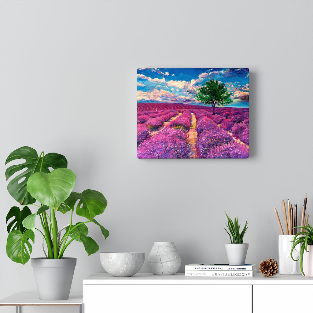 Lavender Field