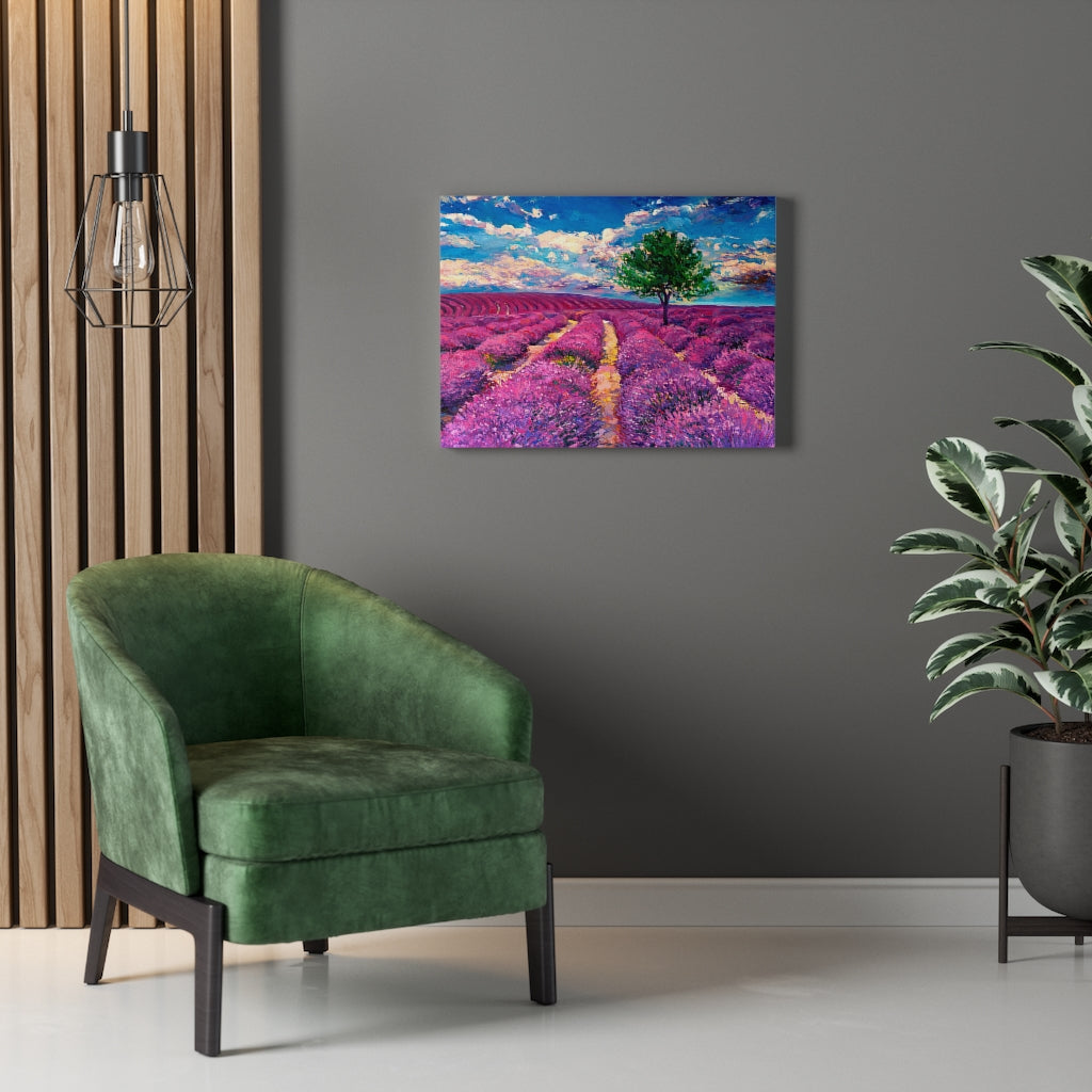 Lavender Field