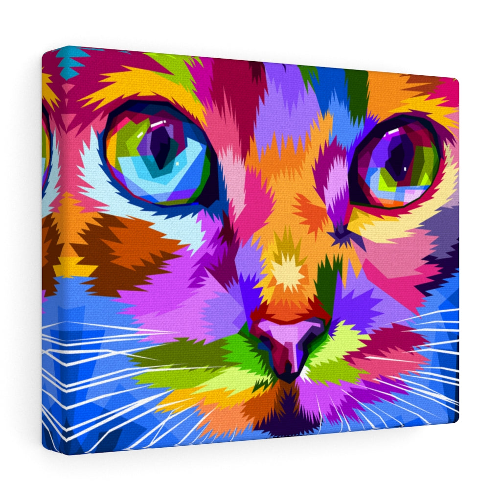 Cat Eyes Vivid