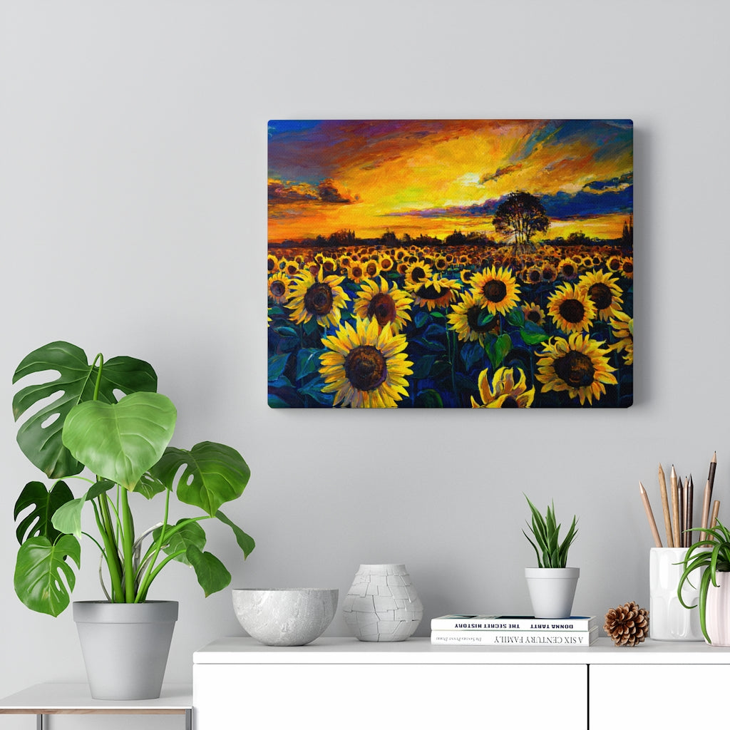 Sunflower Field Sun Landscape