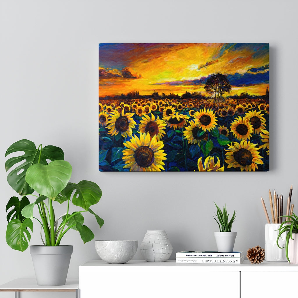 Sunflower Field Sun Landscape