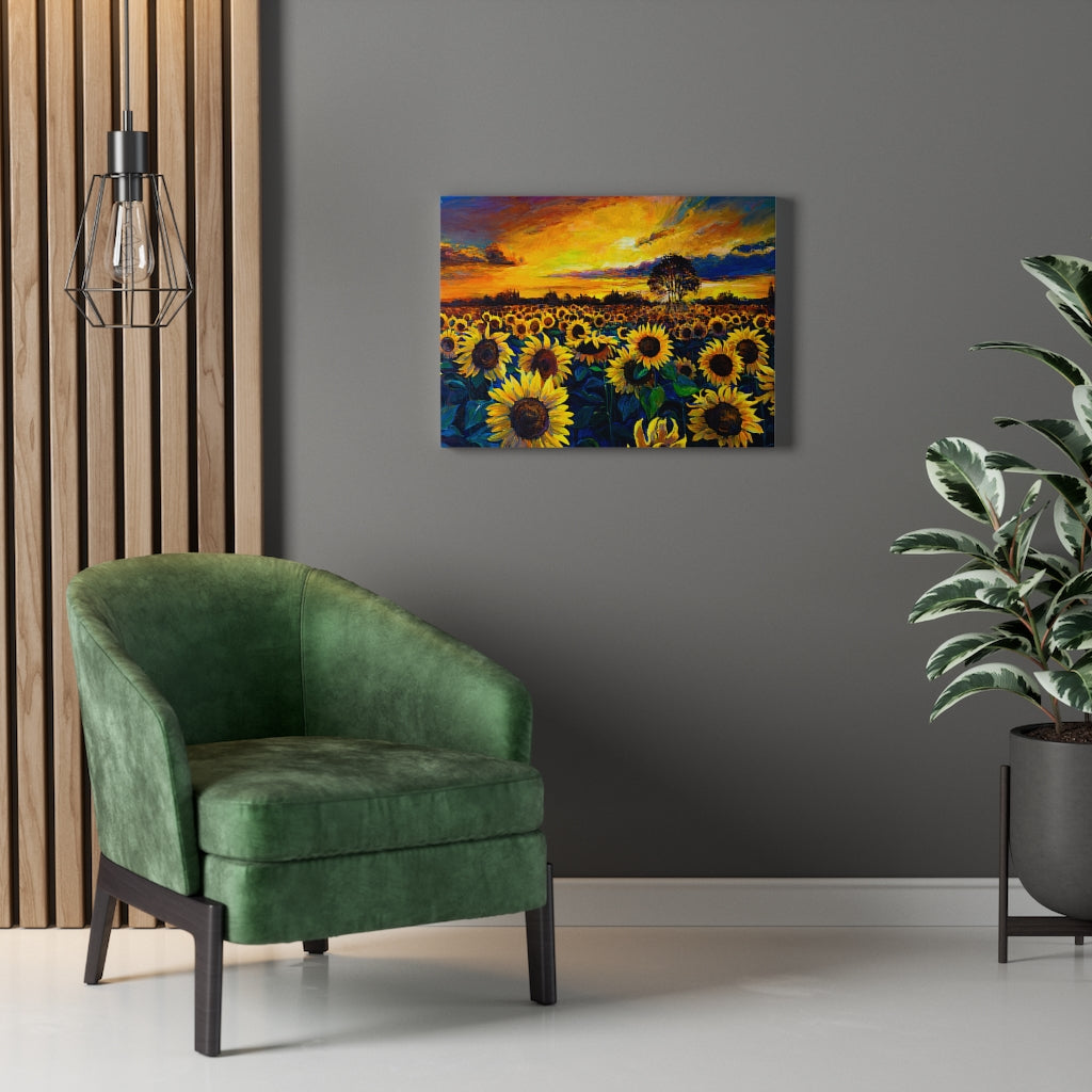 Sunflower Field Sun Landscape
