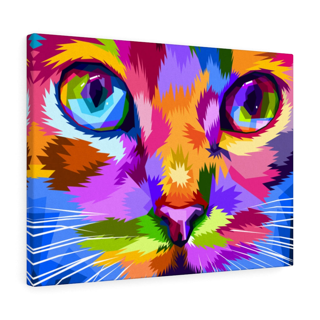 Cat Eyes Vivid
