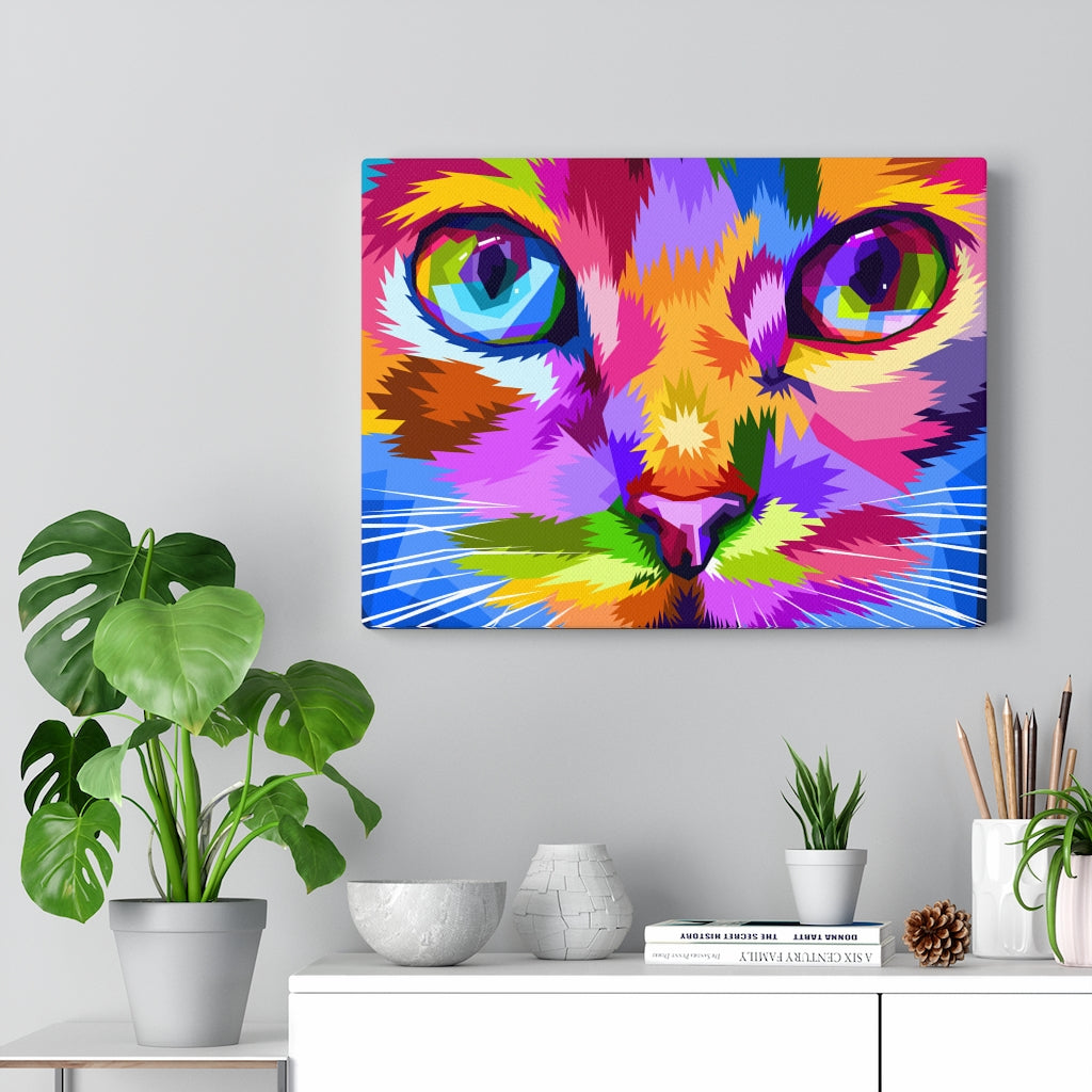 Cat Eyes Vivid